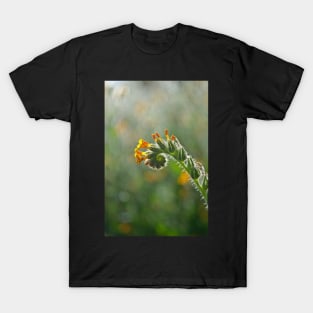 Spiral Plant T-Shirt